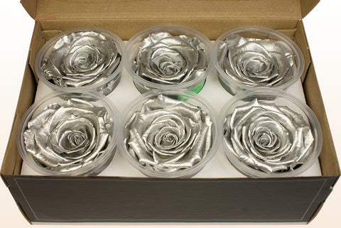 Maat XL, 6 rozen